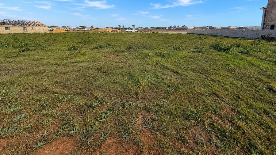 0 Bedroom Property for Sale in Fisherhaven Western Cape